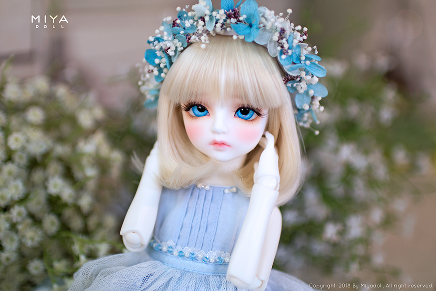 MIYA DOLL 限定品 Blue Bell ヘッドのみ A type 新品 Amazon | MIYA