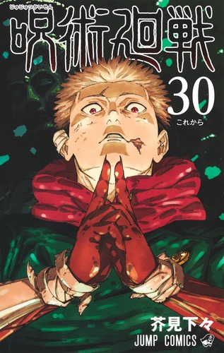呪術廻戦 30／芥見 下々 | 集英社コミック公式 S-MANGA