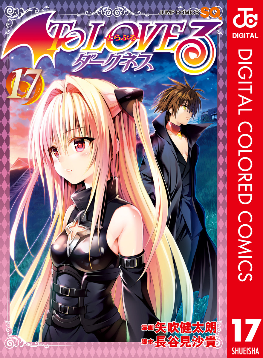 To LOVEる―とらぶる―ダークネス カラー版 17／矢吹健太朗／長谷見沙貴