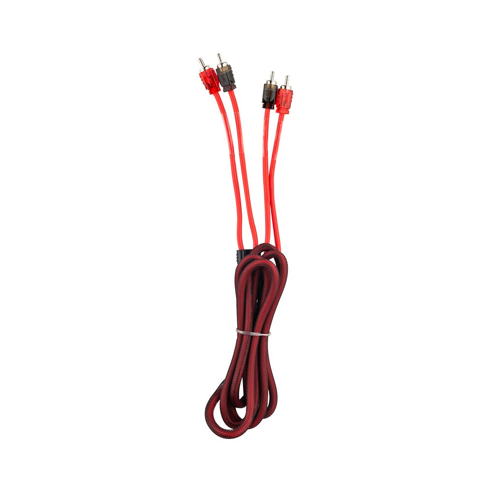 DS18 6 ft. two-channel RCA audio cable guarantees professional