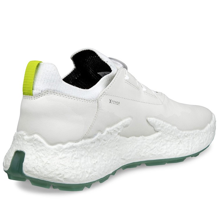 ECCO GOLF エコーゴルフ]メンズ BIOM H5 BOA ゴルフシューズ WHITE