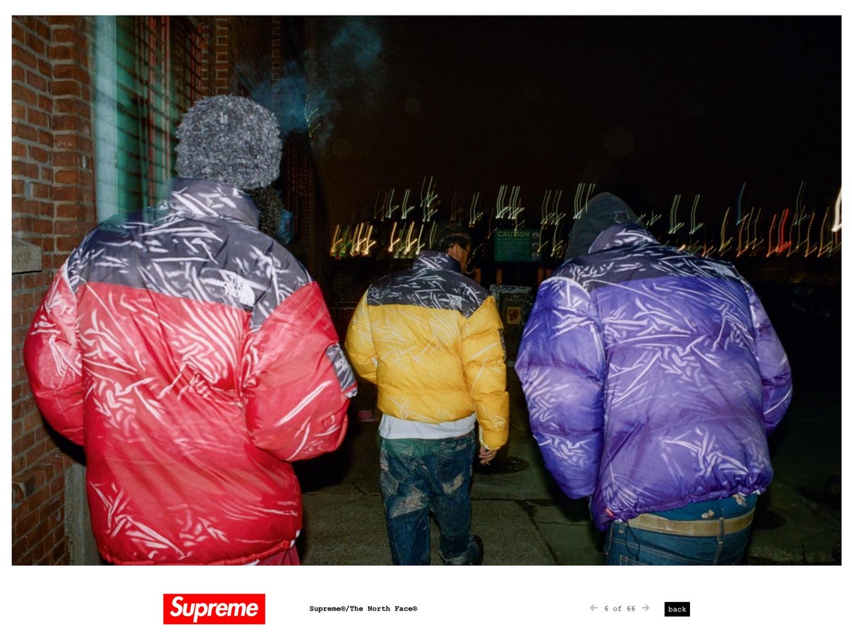 supreme-thenorthface-005.jpg