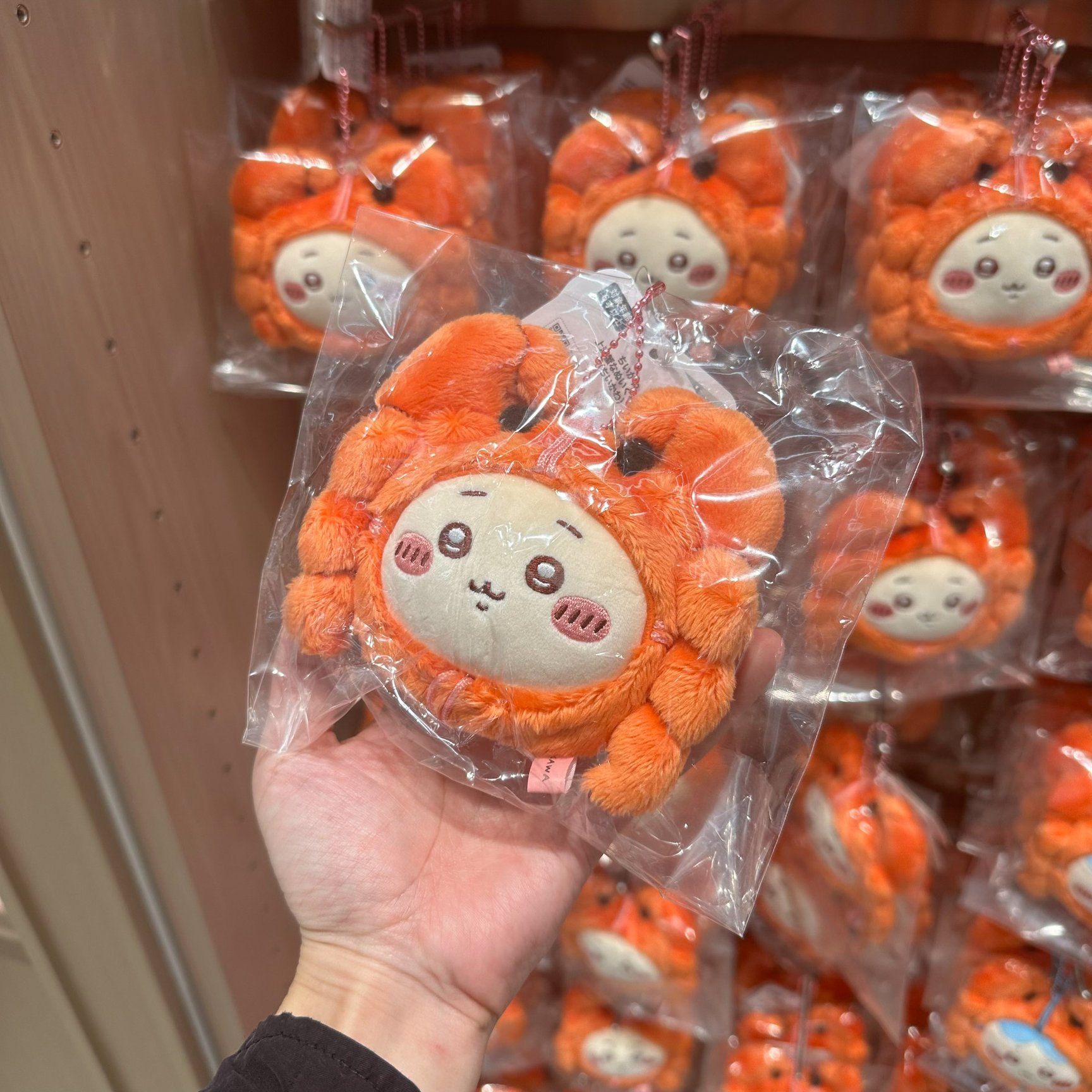上海で逢った「かわいいだけで全然だめじゃないもの」【コラム連載