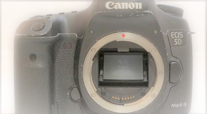 デジタル一眼レフ キヤノン「EOS 5D Mark III」をご使用のプロ