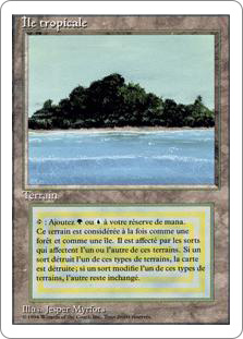 Tropical Island》[3ED] 土地R | 日本最大級 MTG通販サイト「晴れる屋」