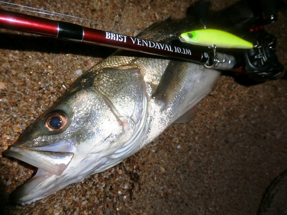 BRIST VENDAVAL 10.1M 真夏の夜のシーバスサーフ攻略！ - Fishman