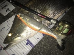 構想から発売まで約5年、BRIST comodo 7.5H開発秘話前編 - Fishman