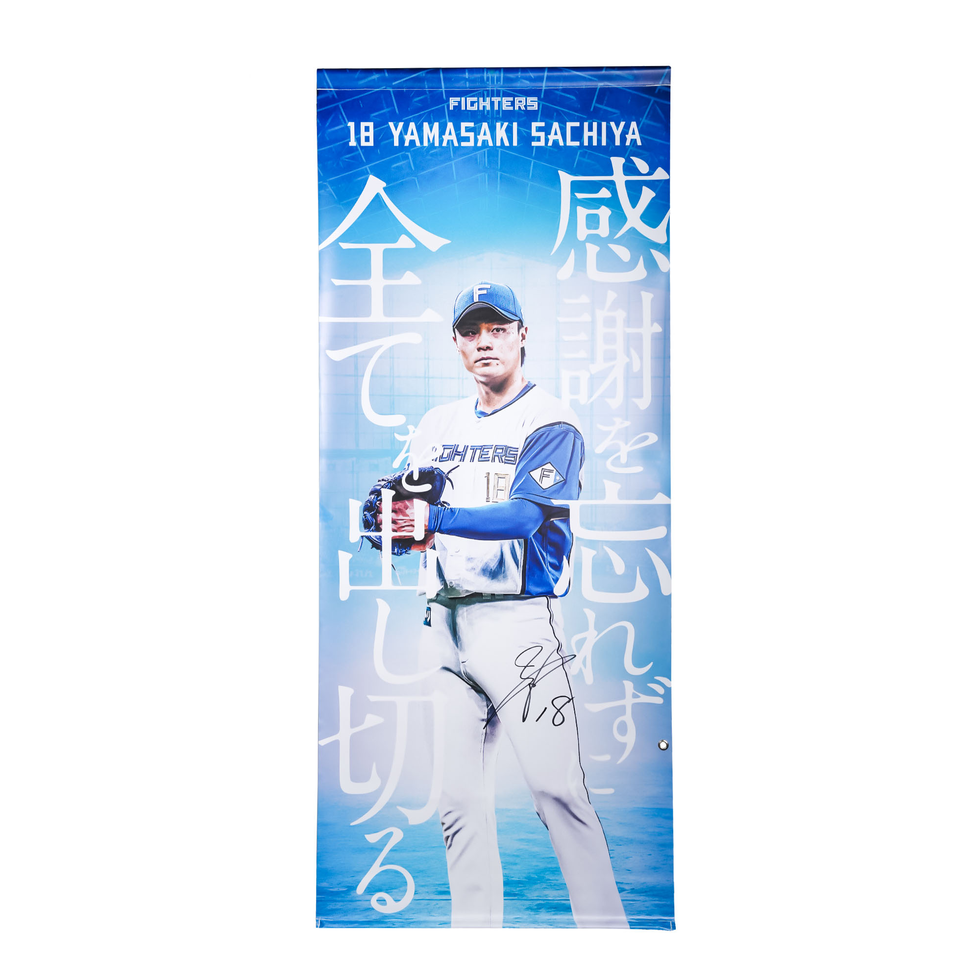 返礼品をさがす | ファイターズふるさと納税