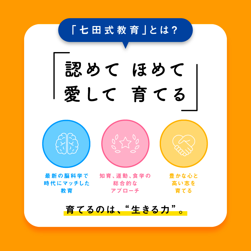 江津市限定返礼品 七田式プリントA 2歳半～4歳 【SC-49】｜送料無料 し
