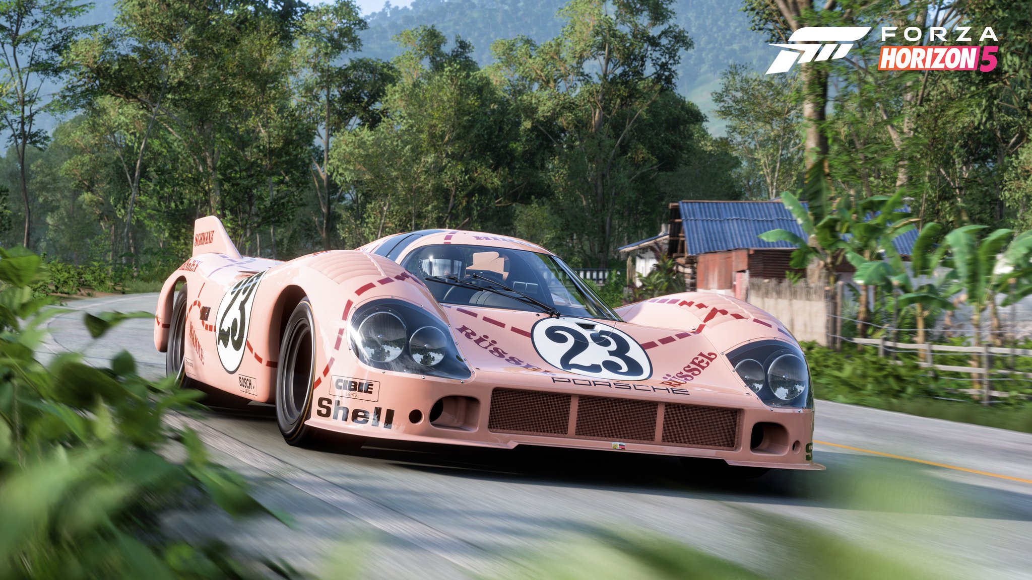 Porsche 917/20 1971 - Previously Considered Suggestions - Official