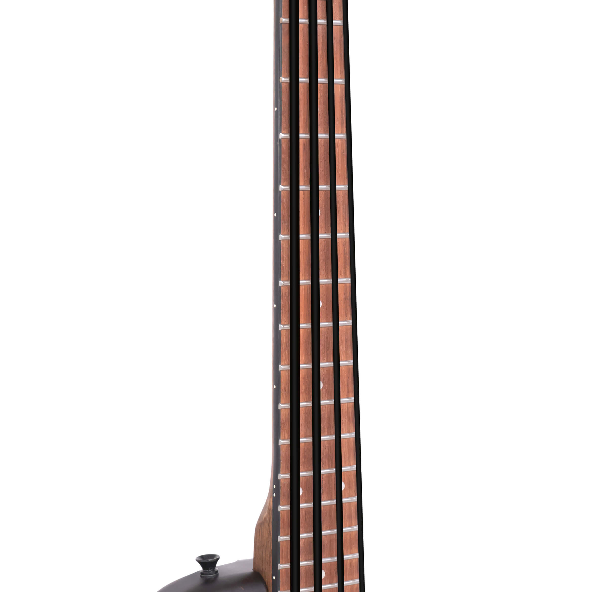 ME-Bass: 23-Inch Scale Electric MicroBass with Gig Bag | Gold Tone