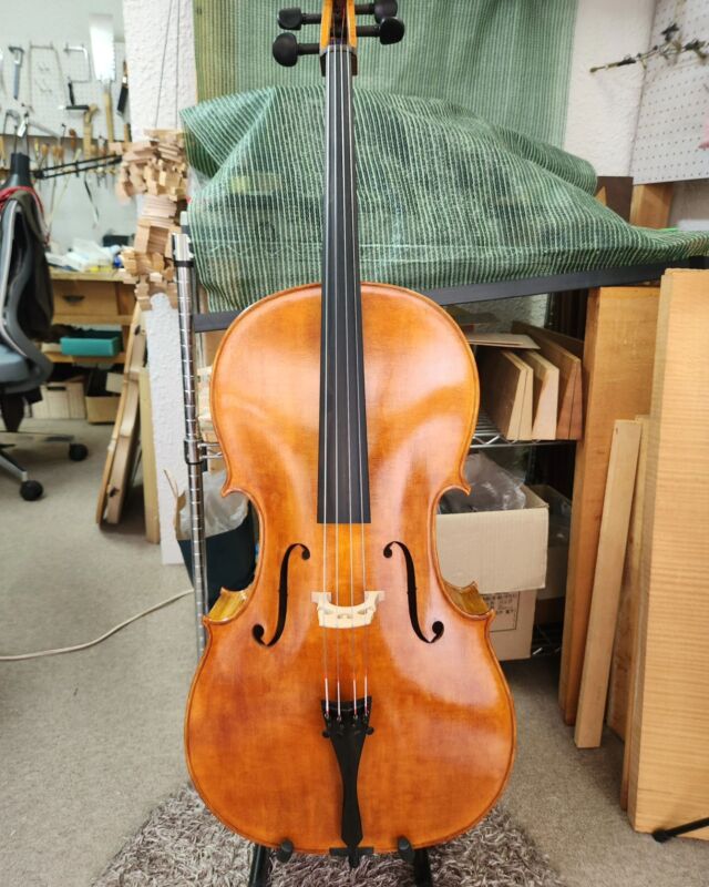 中古美品 SPIROCOREコントラバス弦4本セット S42 4/4 ミディアム 中古