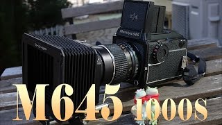 中判カメラの魅力 Mamiya M645 1000S - YouTube