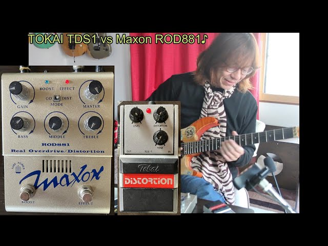 TOKAI TDS1 vs Maxon ROD881♪ [Satoshi Henmi's 3-minute Guitar