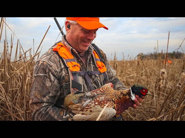 ハルピー ダンバリーミントThe Pheasant Hunters ハルピー ダンバリー