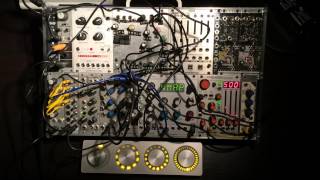 Monome White Whale - Eurorack Module on ModularGrid