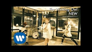 The Winking Owl - NEW- (Official Music Video) - YouTube