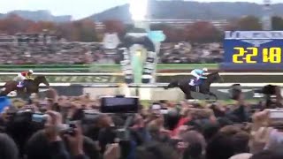 ジャパンカップ 1着イクイノックス号（C.ルメール騎手）（個人撮影