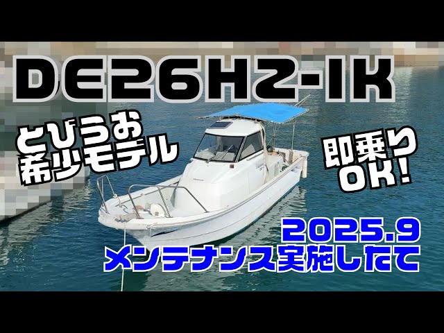 Yanmar Flying Fish DE26HZ-IK Multi-Drive, a popular and rare model