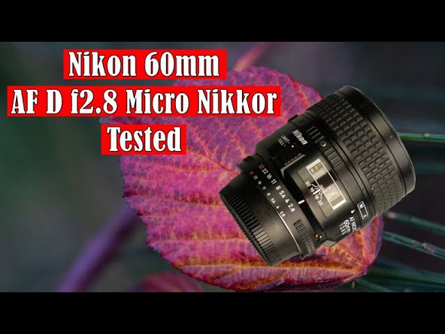 美品 Nikon AF NIKKOR 60mm F2.8 #8907 美品 Nikon AF NIKKOR 60mm F2