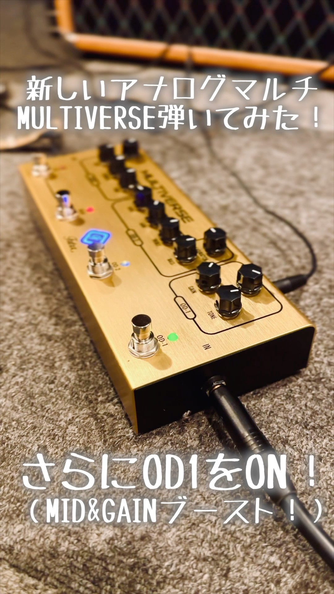 新型アナログマルチエフェクターを弾いてみた！Futra Multiverse