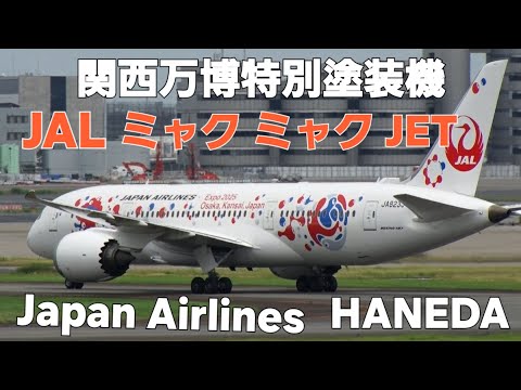 ✈✈羽田空港2025関西万博特別塗装機「JAL ミャクミャクJET」2号機