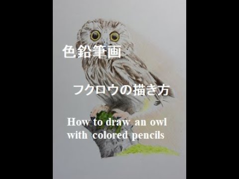 色鉛筆画 フクロウの描き方 How to draw an owl with colored pencils