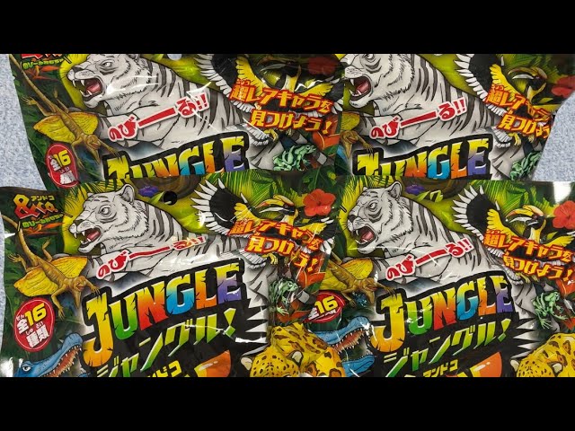 When we opened the new [Jungle & CO Complete Set], the brothers