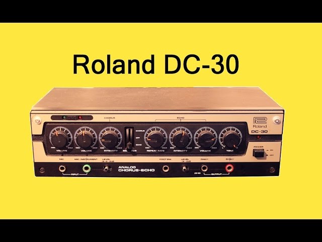T*o様 Roland DC-30 Vintage Analog Delay ロ Roland DC-30 Vintage