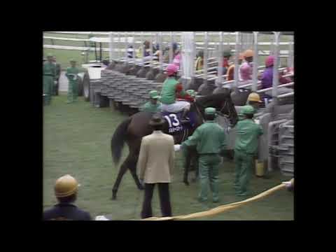 1994年天皇賞（秋） ネーハイシーザー - YouTube