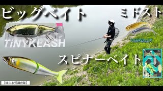 ビッグベイト』や『スピナーベイト』『ミドスト』を使い分けて、ため池