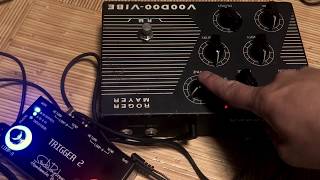 Roger Mayer Voodoo-Vibe」アタリ個体をサウンドレビュー！【魔法の箱