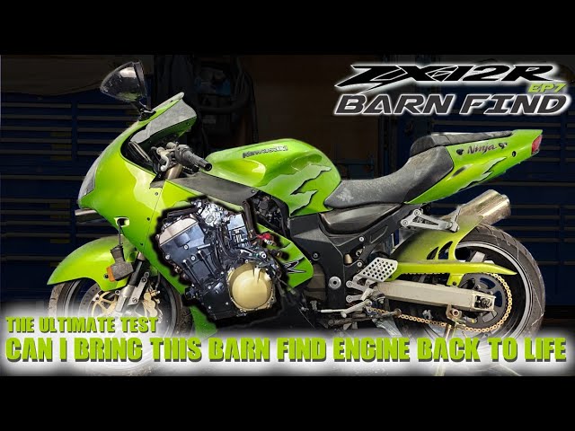 Unearthing a Legend: Kawasaki ZX12R Barn Find Resurrection. My cat