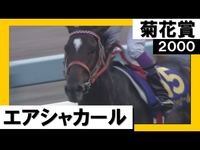 皐月賞馬VSダービー馬！菊花賞で激突】2000年 菊花賞 (GⅠ