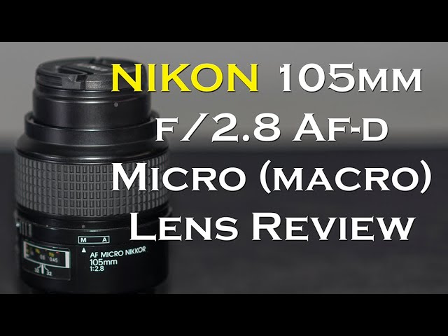 Nikon 105mm f/2.8 AF-D Micro Macro Lens Review with sample images