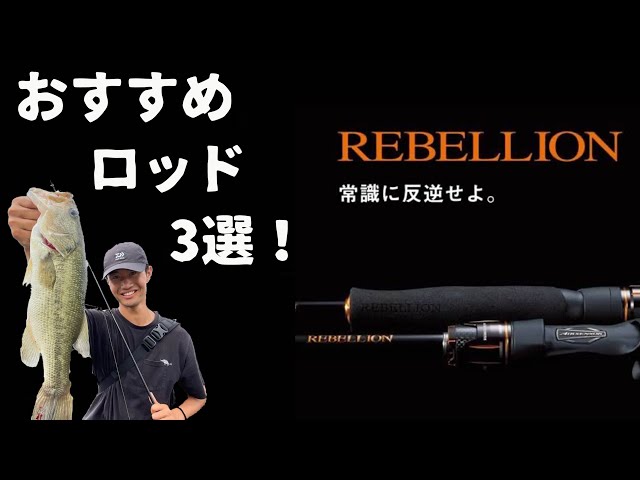 Best Value for Money) 3 Recommended Bass Rods for Kasumigaura