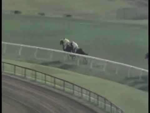 1975年 第42回 日本ダービー カブラヤオー（28頭立て） - YouTube