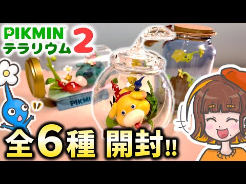 初実写】ピクミン テラリウムコレクション2全6種開封～！クオリティ