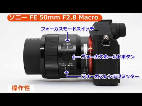 ソニー FE 50mm F2.8 Macro [SEL50M28] | 交換レンズ