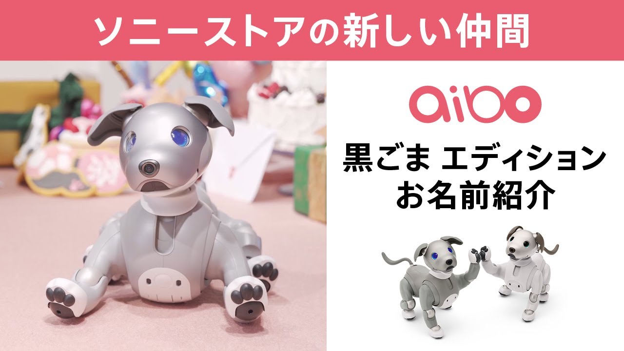 ソニーストアの新しい仲間 aibo 黒ごま エディション お名前紹介