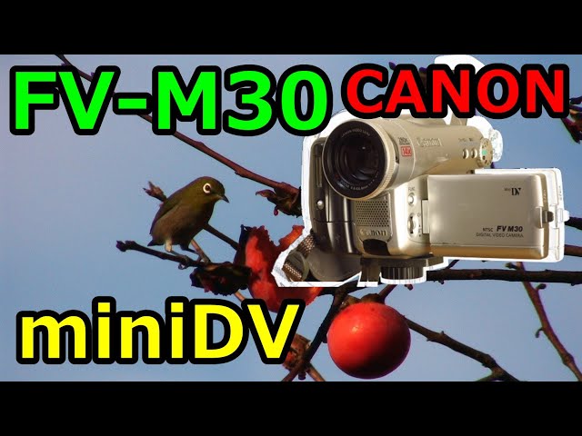 ジャンクビデオカメラ】330円 CANON FV-M30 動作検証・作例 miniDV世代