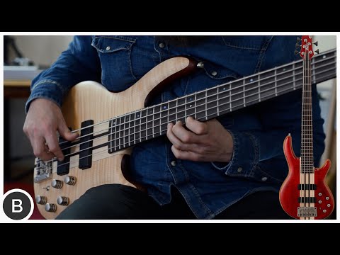 CORT ARTISAN A5 PLUS - YouTube