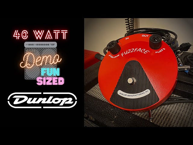 Dunlop JDF2 Classic Fuzz Face - Fun Sized Demo! - YouTube