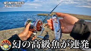 黒潮のぶち当たるポテンシャル抜群の堤防でトビウオ丸ごとブッコむと特