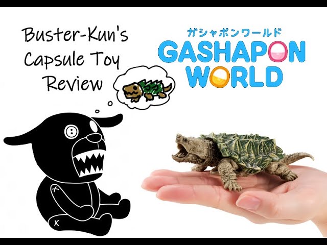 Gashapon Review [ Kame 03 - ワニガメ（黒) / Alligator Snapping