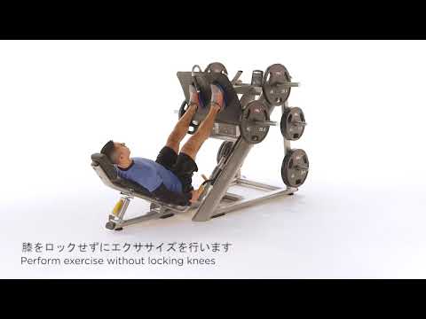DPL0601 アングルドレッグプレス - YouTube