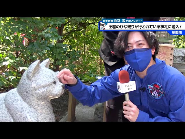 猫のひたいほどワイド #1031 白又敦「圧巻の77段飾り 1000体のひな人形