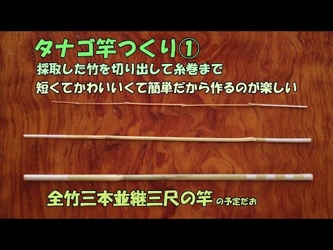 採取した竹でタナゴ竿をつくる① 竹の切り出しから糸巻まで【竹竿作り