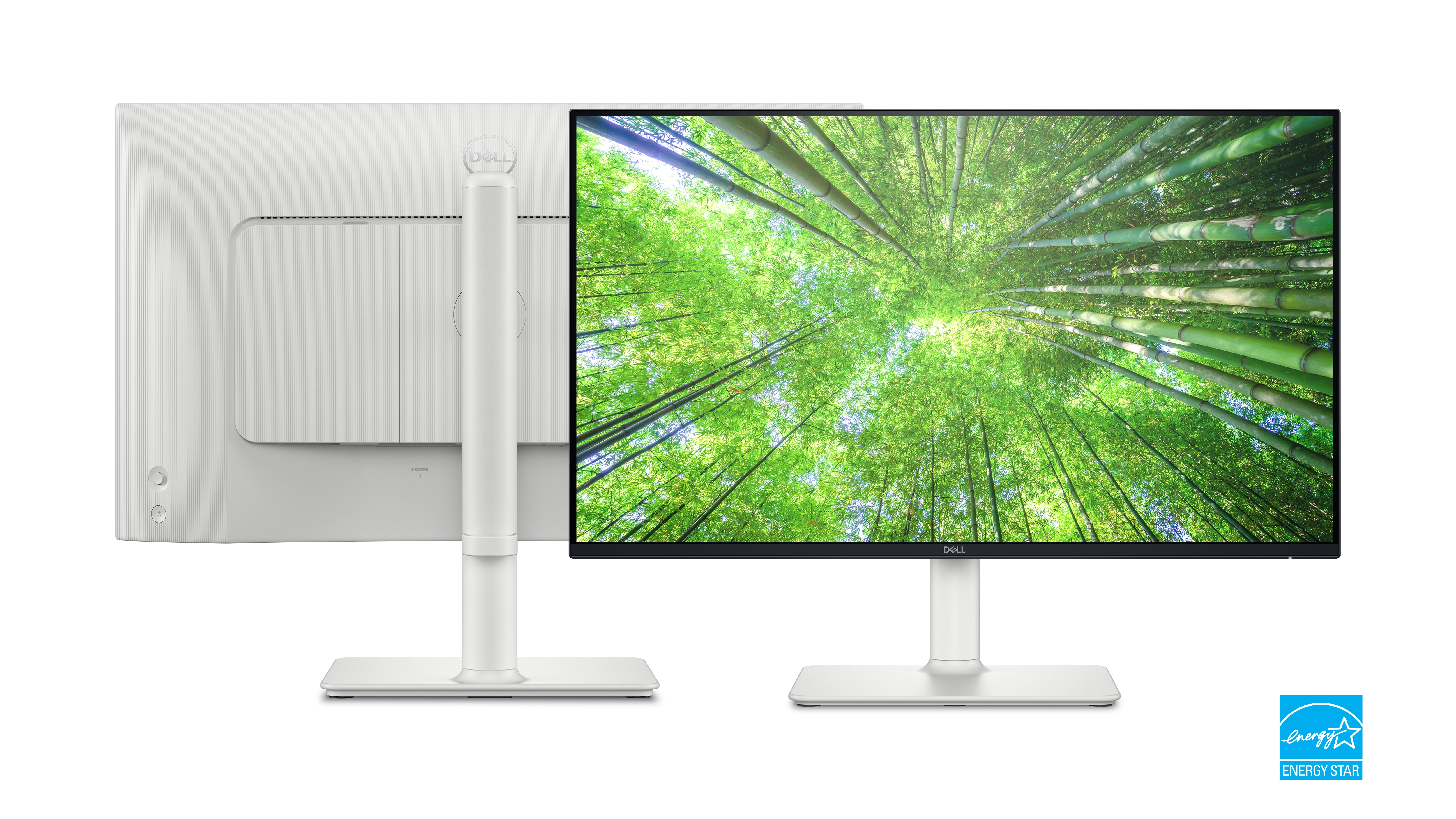 Dell 24 S2425HS 23.8-inch Full HD Monitor 100 Hz FHN4J