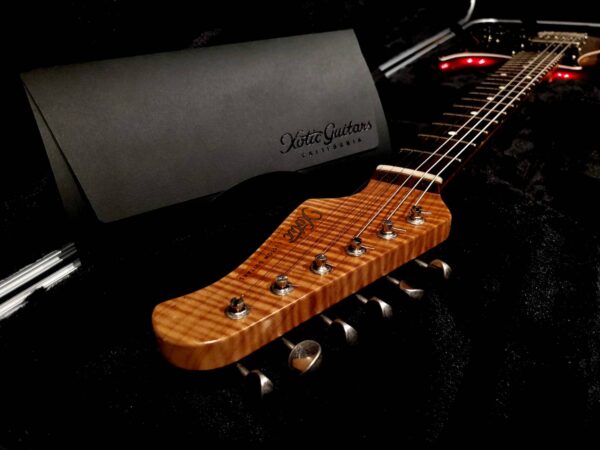 9月の厳選！おすすめギター＆新入荷商品の紹介【Blue Guitars】 | Blue